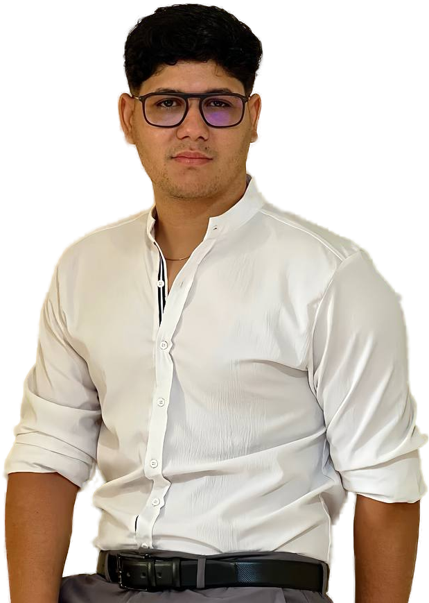 Luis Reyes - Profesional digital